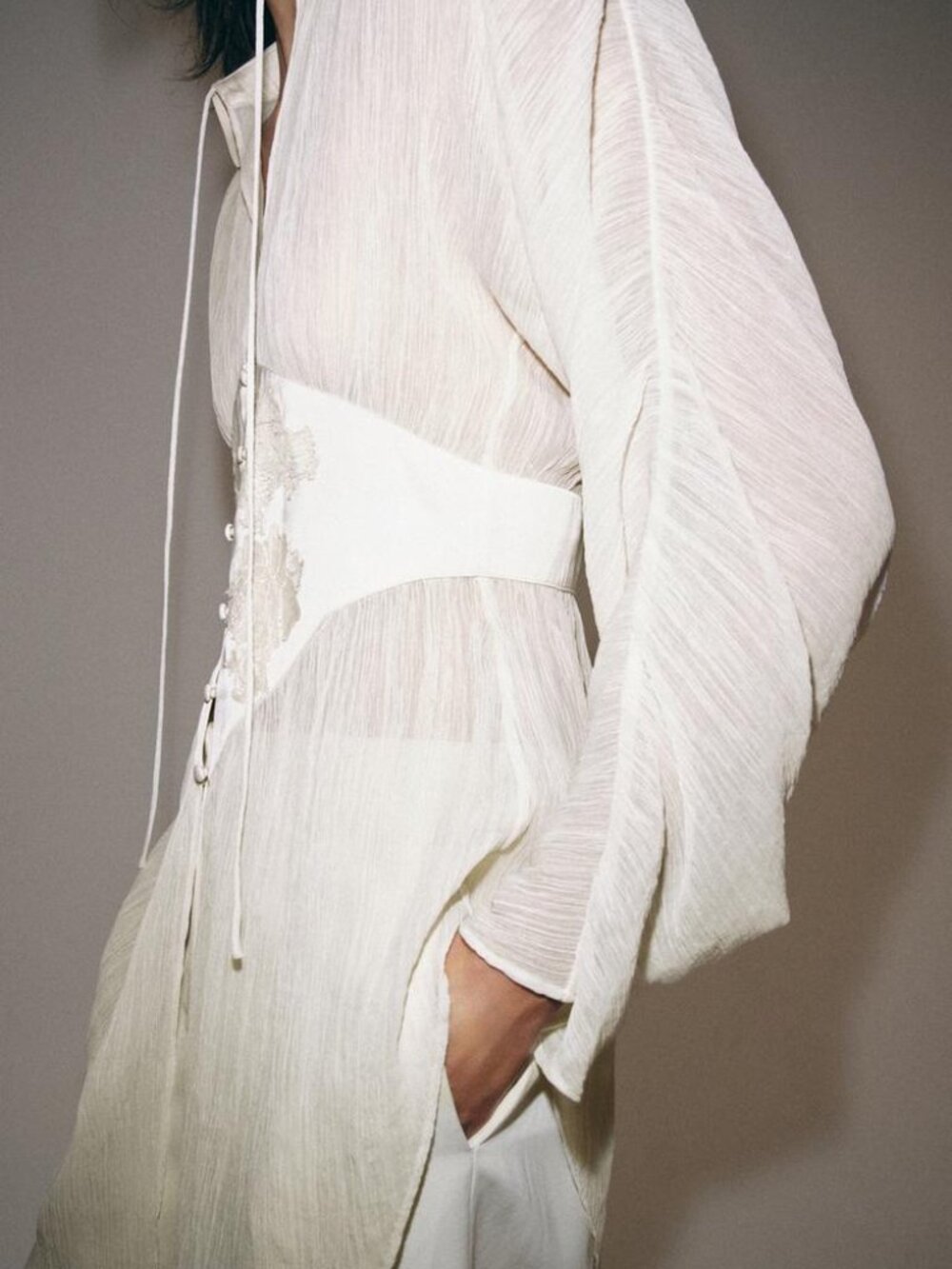 Zara Sheer Cream Button-Front Blouse - Picture 6 of 10